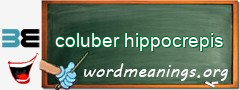 WordMeaning blackboard for coluber hippocrepis